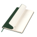 Ежедневник Spark недатированный, зеленый (без упаковки, без стикера)