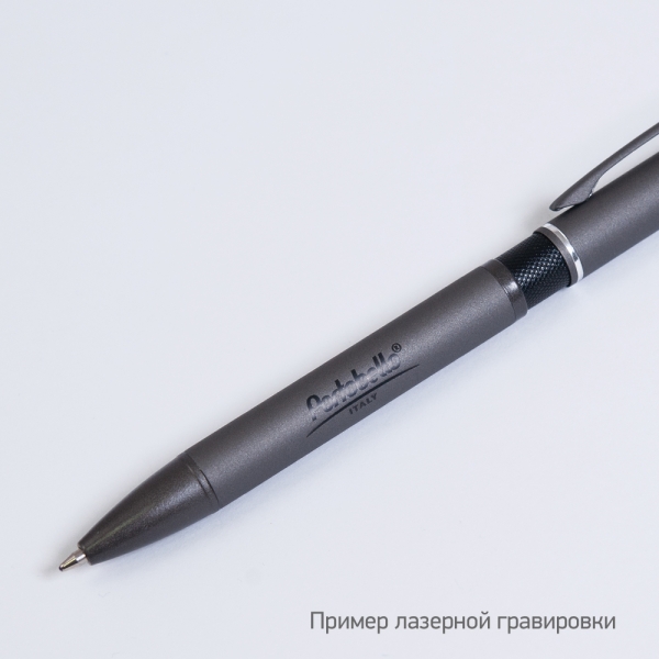 Шариковая ручка АйПи Хамелеон (IP Chameleon), черная