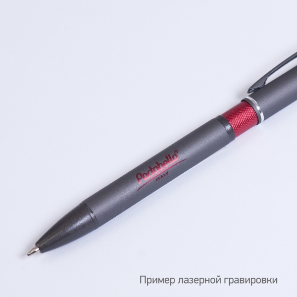 Шариковая ручка АйПи Хамелеон (IP Chameleon), красная