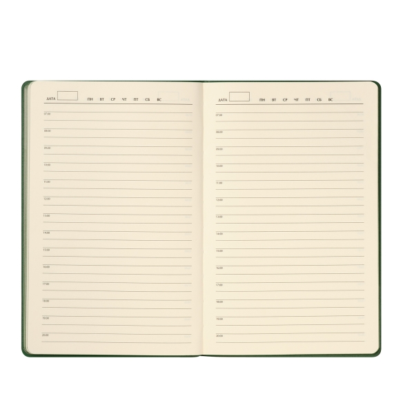 Ежедневник Rain недатированный, зеленый