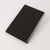 Ежедневник City New Standart недатированный, черный