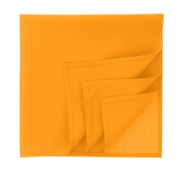 Бандана GOAL-S