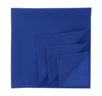 Бандана GOAL-S