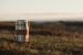 Термос для еды Miles от VINGA, 500 мл