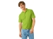 Рубашка поло "Boston 2.0" мужская, зеленое яблоко