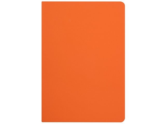Бизнес-тетрадь А5 "Pragmatic Contrast", 40 листов в клетку, оранжевый с темно-серым срезом