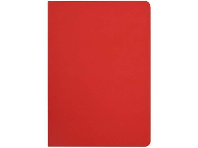 Бизнес-тетрадь А5 "Pragmatic Contrast", 40 листов в клетку, красный с темно-серым срезом