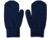 Варежки «Dunant», темно-синий