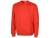Толстовка "Rome" мужская, красный