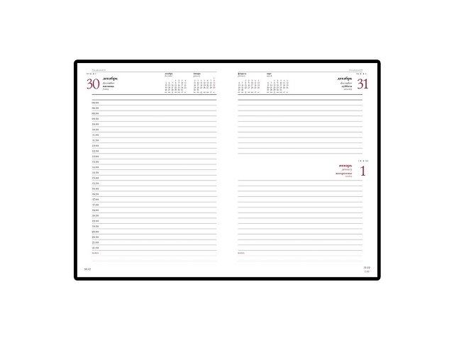 Ежедневник А5 датированный «Velvet» 2025, красный