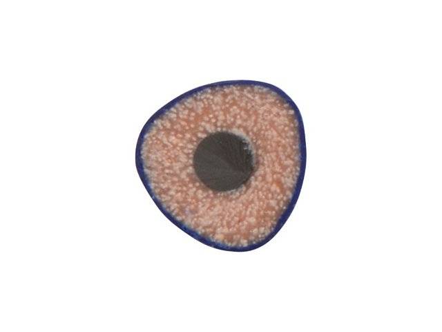 Трехгранный карандаш "Conti" из переработанных контейнеров, синий