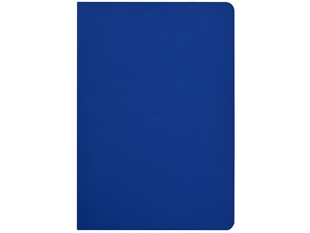 Бизнес-тетрадь А5 "Pragmatic Contrast", 40 листов в клетку, синий с синим срезом