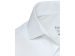 Carnelian мужская рубашка из поплина - Белый