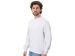 Свитшот оверсайз с рукавом реглан «Belgrade», унисекс, белый