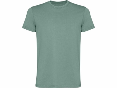 Футболка «Corgi» мужская, сине-зеленый выстиранный