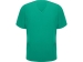 Рубашка мужская "Ferox", нежно-зеленый
