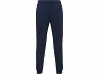 Брюки спортивные «Rodas» мужские, синий нэйви