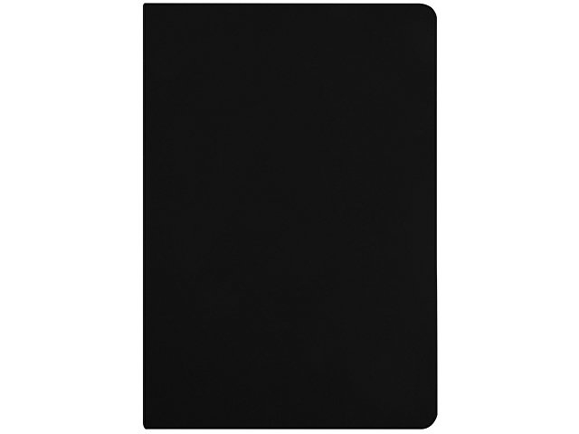 Бизнес-тетрадь А5 "Pragmatic Contrast", 40 листов в клетку, черный с голубым срезом