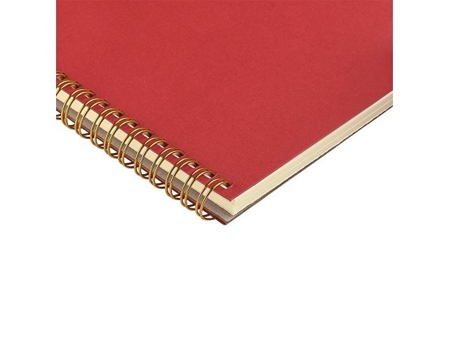 Бизнес тетрадь на гребне А5 "Pragmatic", 60 листов в клетку, красный