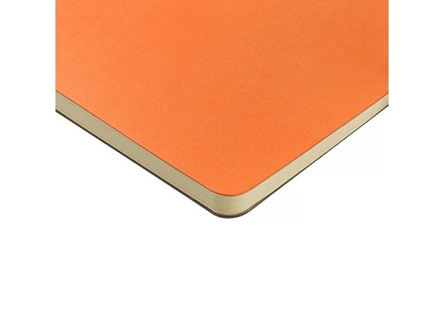 Бизнес тетрадь на гребне А5 "Pragmatic", 60 листов в клетку, оранжевый