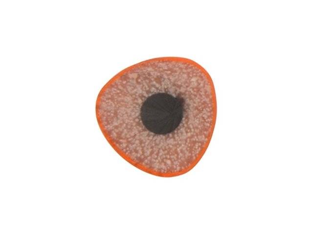 Трехгранный карандаш "Conti" из переработанных контейнеров, оранжевый