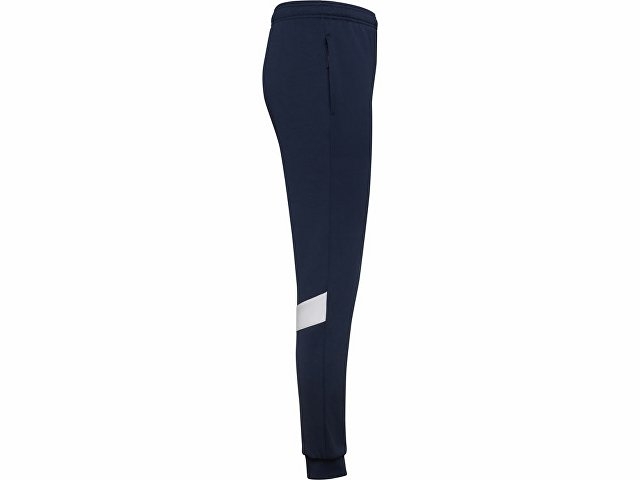 Брюки спортивные «Rodas» мужские, синий нэйви