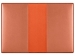 Классическая обложка для паспорта "Favor", оранжевая