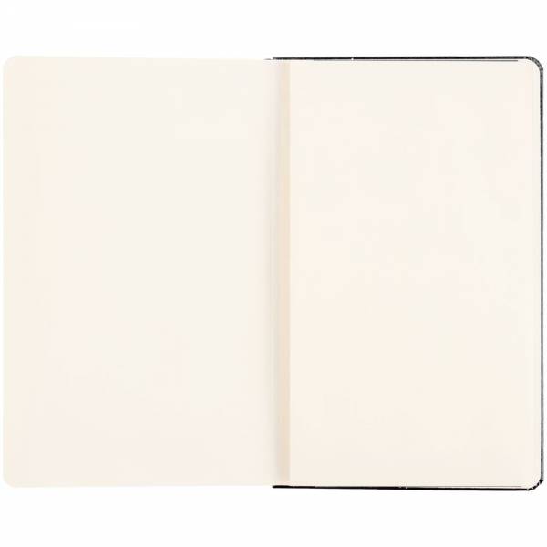 Записная книжка Moleskine Professional Large, черная