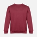 Свитшот унисекс Delta, бордовый