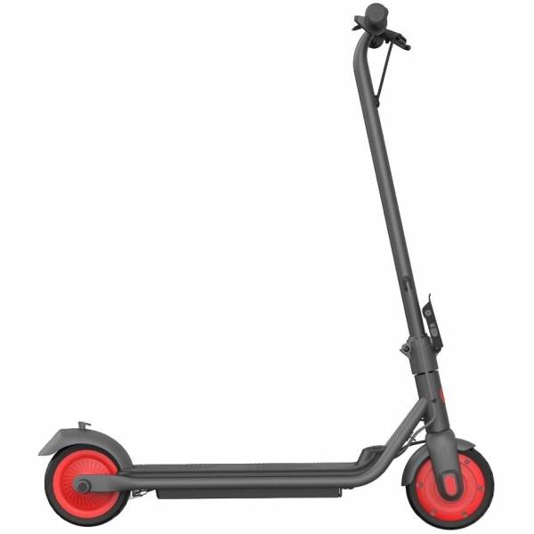 Электросамокат KickScooter C20