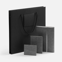 Набор Petrus Flap, серый